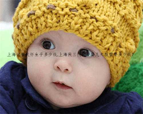 上海试管代怀生子多少钱,上海做三代试管婴儿大概需要多少钱？