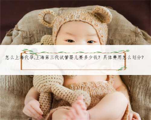 怎么上海代孕,上海第三代试管婴儿要多少钱？具体费用怎么划分？