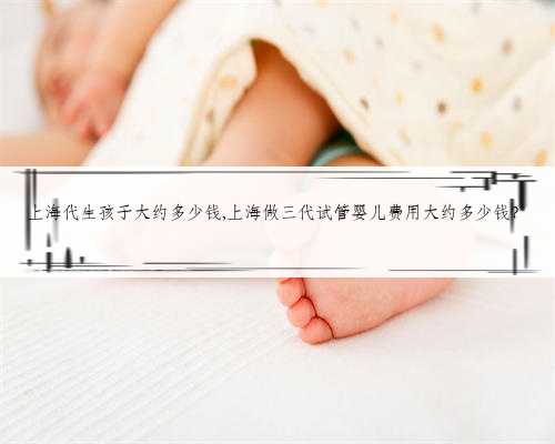 上海代生孩子大约多少钱,上海做三代试管婴儿费用大约多少钱？