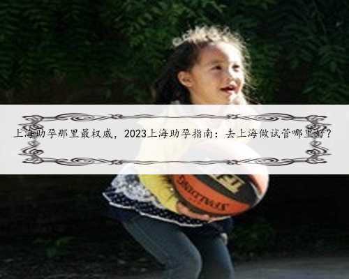 上海助孕那里最权威，2023上海助孕指南：去上海做试管哪里好？