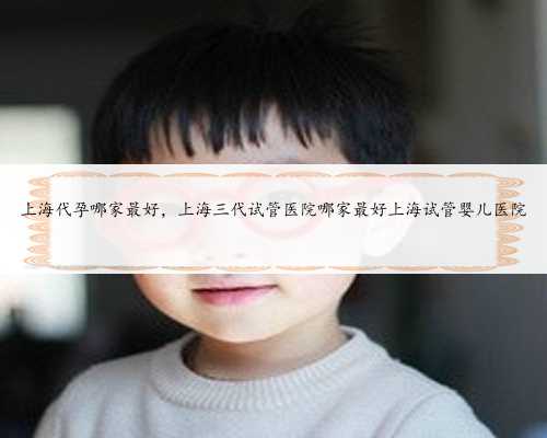 <b>上海代孕哪家最好，上海三代试管医院哪家最好上海试管婴儿医院</b>
