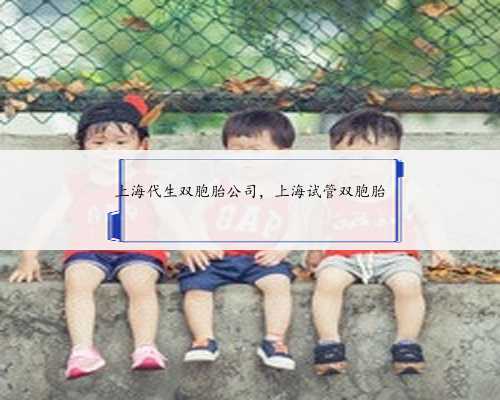 <b>上海代生双胞胎公司，上海试管双胞胎</b>