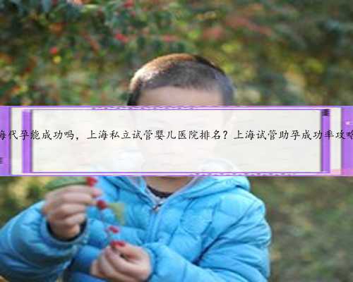 上海代孕能成功吗，上海私立试管婴儿医院排名？上海试管助孕成功率攻略？