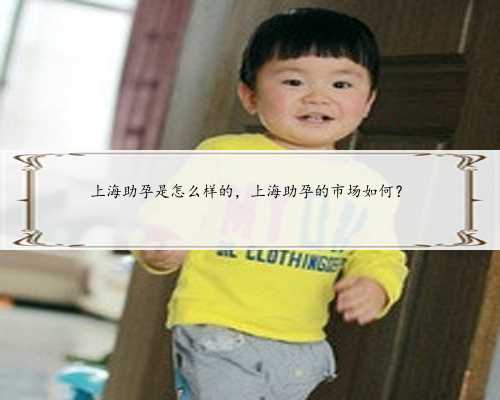 上海助孕是怎么样的，上海助孕的市场如何？