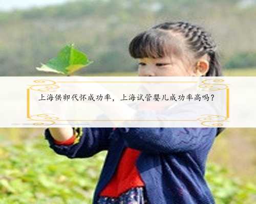 上海供卵代怀成功率，上海试管婴儿成功率高吗？