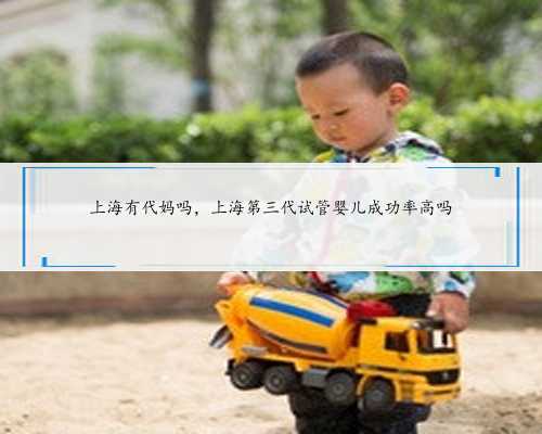 上海有代妈吗，上海第三代试管婴儿成功率高吗