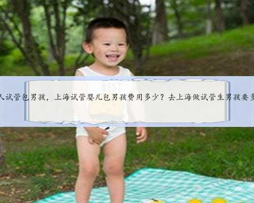 上海私人试管包男孩，上海试管婴儿包男孩费用多少？去上海做试管生男孩要多