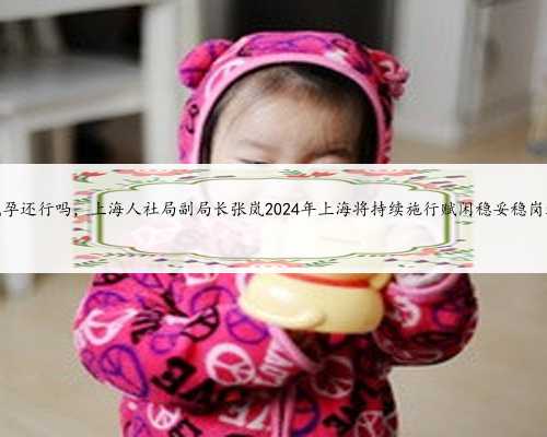 上海去代孕还行吗，上海人社局副局长张岚2024年上海将持续施行赋闲稳妥稳岗