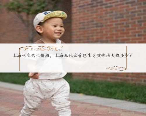 上海代生代生价格，上海三代试管包生男孩价格大概多少？